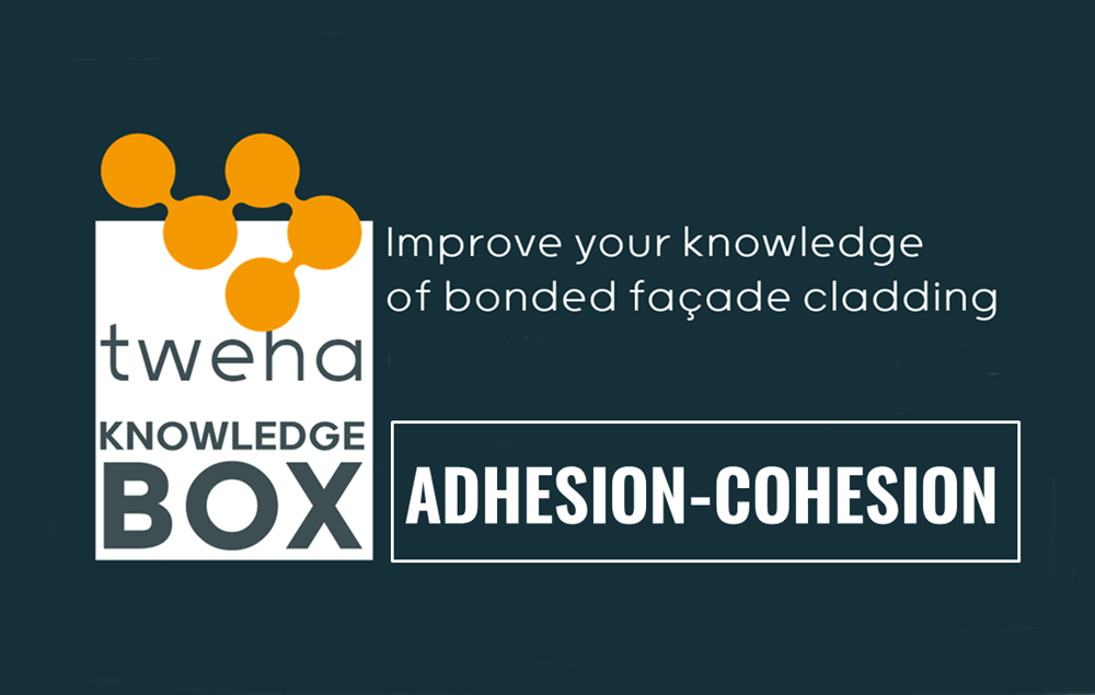 adhesion and cohesion explained.png